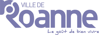 Ville roanne
